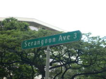 Serangoon Avenue 3 #90052